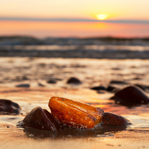 Calm Sunset Wax Melt